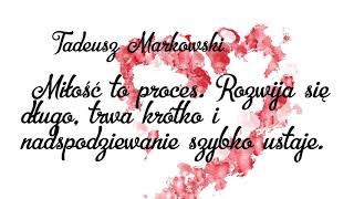 Codziennie madry cytat o miosci  20 stycznia