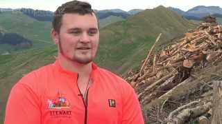 Being a forestry apprentice