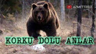 Mynet Haber Ayı İni Mağarası Haberi [ Fotokapan Sayesinde Kurtulduk]