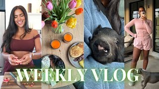 WEEKLY VLOG ♡ (getting new farm animals, productive routine in texas, cleaning reset, cozy vibes!!+)