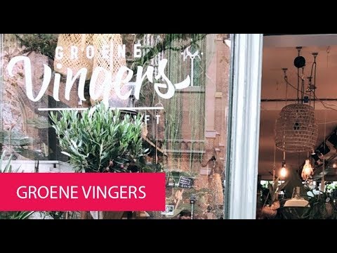 GROENE VINGERS - NETHERLANDS, DELFT