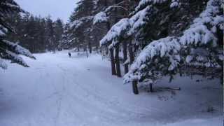 preview picture of video 'Snowboarding in powder. Attempt 2 - Hilton Craigendarroch, Ballater, Scotland. Ex Dry Ski Slope.'