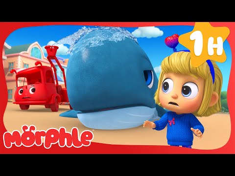Giant Whale Rescue! 🐳 | Cartoons for Kids | Mila and Morphle