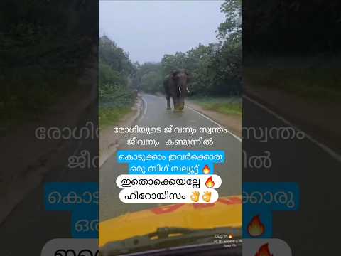 രോഗിയുടെ ജീവനും സ്വന്തം ജീവനും കണ്മുൻപിൽ, കൊടുക്കാം ഇവർക്കൊരു ബിഗ് സല്യൂട്ട്,ഇതാണ് ഹീറോയിസം🔥 #shorts