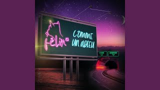 Un chat sous la lune