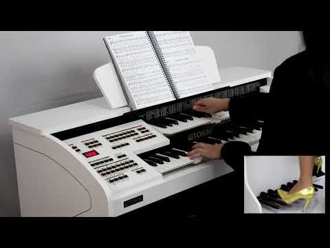 TOKAI D-2 CLASSIC: Hino 257 - CCB