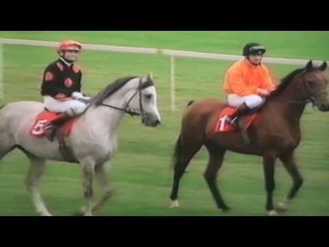 Nagroda Sambora - 28.09.1996 - Druid (Wojsław - Dalida)