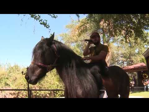 YO NO ERA ASÍ - AFROSAN Y SUS CENTENARIOS 