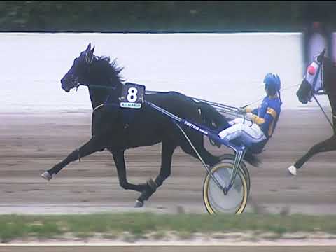 Trotto 29/04/2019 - 1ª corsa