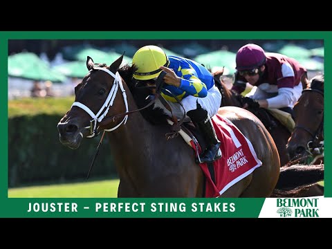 Jouster - 2022 - The Perfect Sting