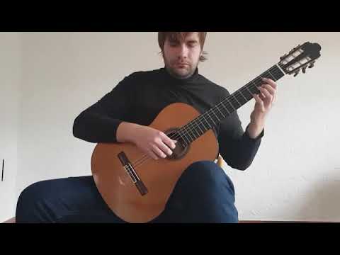 Brussels International Guitar Competition "Ilse et Nicolas Alfonso" - Belmin Okanovic