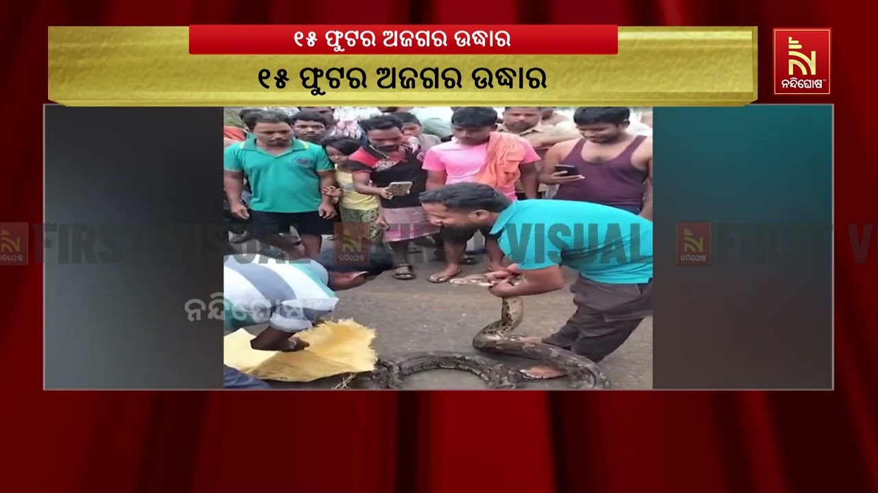 ବାଙ୍କୀ ଡମପଡା ବ୍ଲକ ପାଥପୁର ଅଞ୍ଚଳରୁ ୧୫ ଫୁଟର ଅଜଗର ଉଦ୍ଧାର