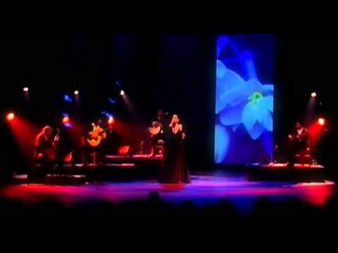 Mafalda Arnauth - Povo que Lavas no Rio - Flor de Fado