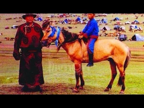 ТОЛИН ХУЛ азарганы тухай.