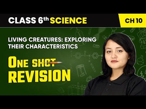 The Wonderful World of Science One Shot Revision Class 6 Science Chapter 1 CBSE 2025 26