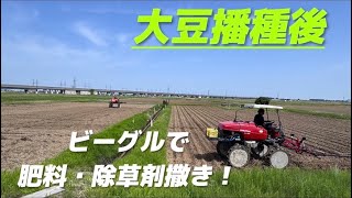 【大豆播種後】ビーグルで肥料・除草剤撒き！【盈科】