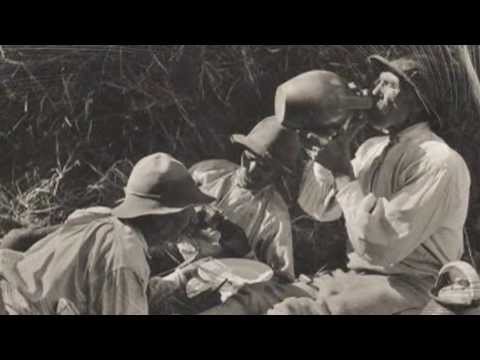 TE BUJDOSÓ SZÉKELY-  Szomorú, de gyönyörű dal - Vesztergám Miklós:Halkan felsír a tárogató Erdélyért