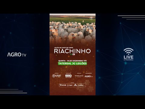 LEILÃO DE GADO DE CORTE DA UNAÍ LEILÕES EM RIACHINHO - MG - 18/12/2025