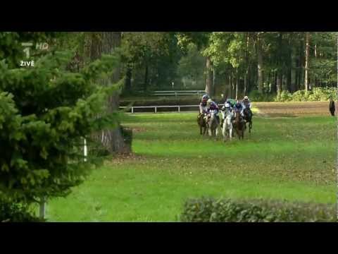 VELKÁ PARDUBICKÁ 2011 HD