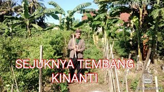 Download lagu SEJUKNYA TEMBANG KINANTI mp3 Download lagu SEJUKNYA TEMBANG KINANTI mp3