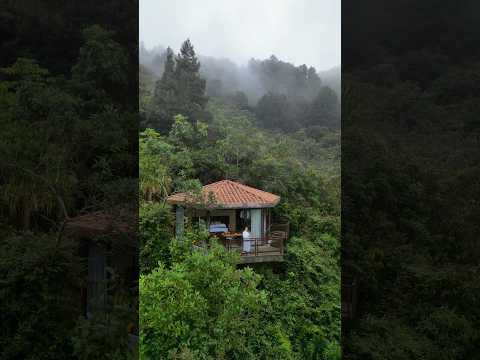 CANNÚA en Marinilla Antioquia