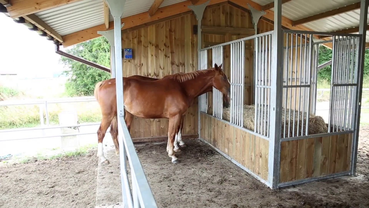 Un abri chevaux 4 en 1 L'Equistation de Cheval Liberté