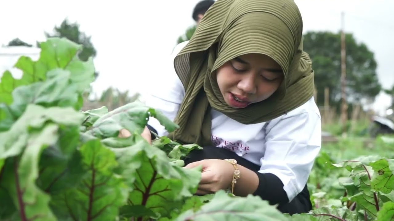 Beet Center Indonesia — Video Profil