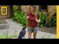 Raven Intelligence Logan The Raven Learns A New Trick Magic Of Disney S Animal Kingdom