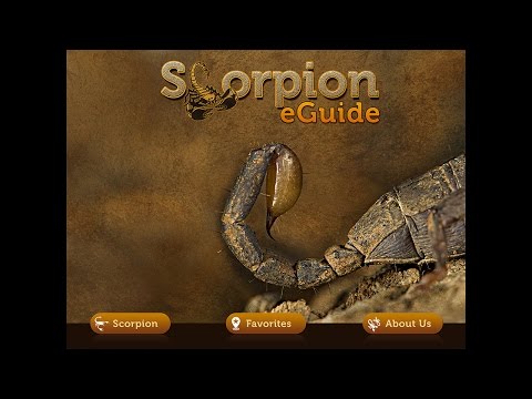 Indian Scorpions eGuide Video