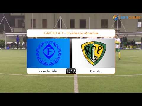 Sintesi Fortes In Fide - Precotto