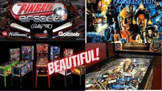 Pinball Arcade PS4/ MARY SHELLEY'S FRANKENSTEIN -SEGA- Retro Pinball table gameplay. No Commentary!