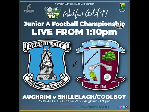 Junior A Football Championship Final - Aughrim v Shillelagh Coolboy