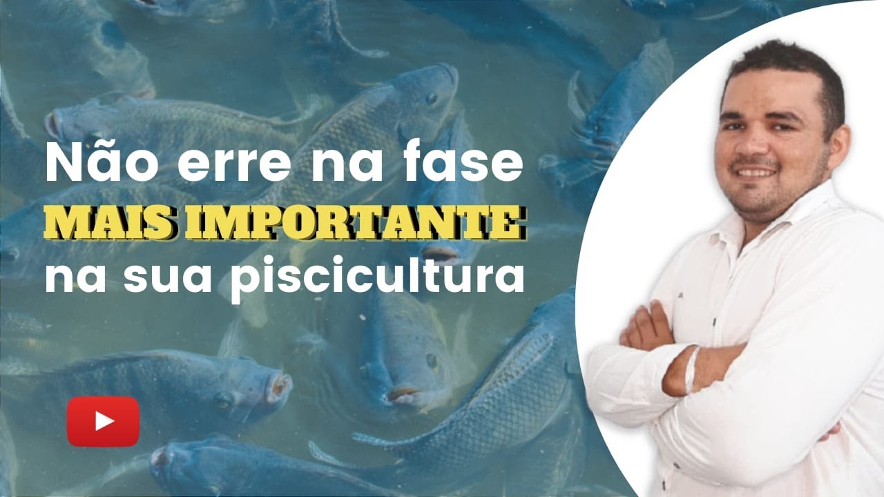 PISCICULTURA 497: 4 ERROS QUE ACABAM COM QUALQUER PISCICULTURA