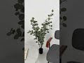 Youtube-видео 