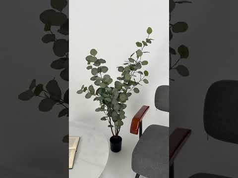 Youtube-видео 
