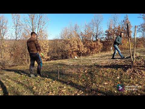 Prima zi la cabana din poienita🎉