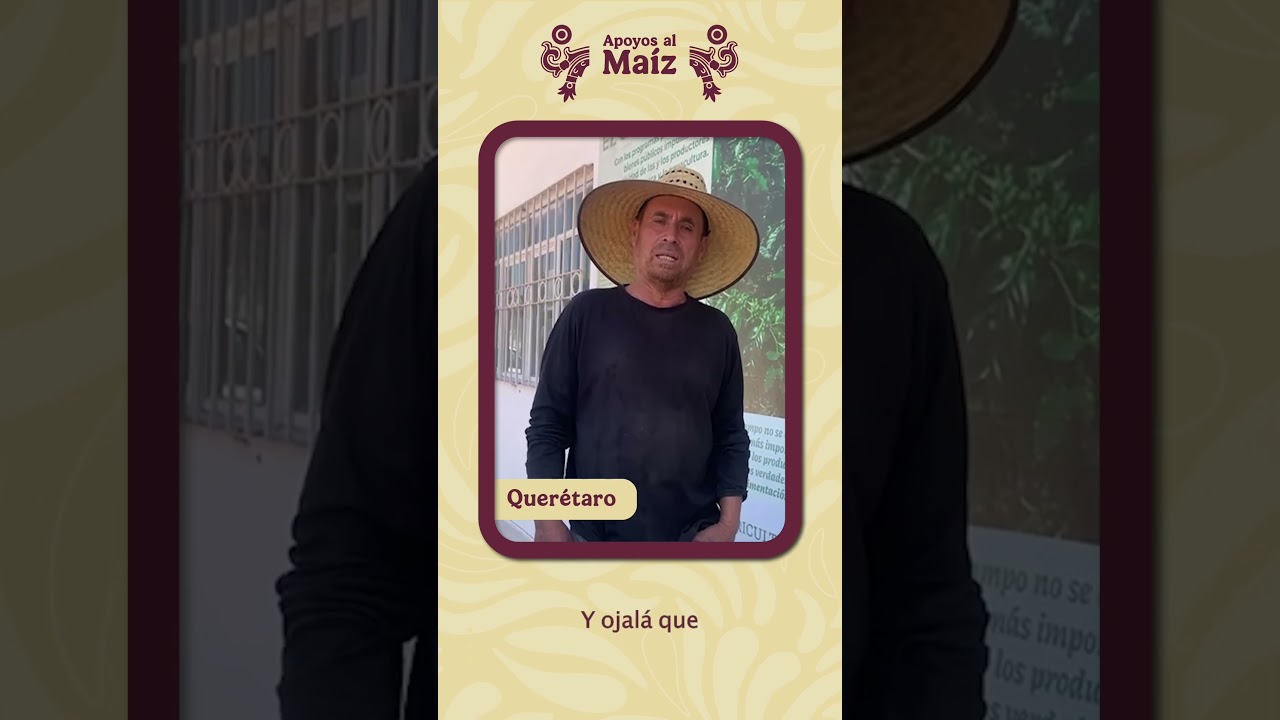 Menos trámite, más resultados 🌽
