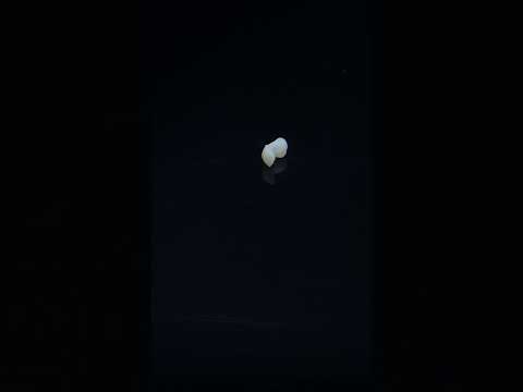 YouTube 썸네일