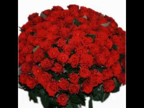 Happy Birthday Lenuța (Anny Scripnic) prodacșăn