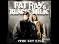 Fat Ray & Black Milk - Take Control (feat. A.B.)