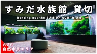 すみだ水族館を貸切!ADA自然水景エリアのネイチャーアクアリウムを撮ってきた!【アクアリウム】【熱帯魚】【水草水槽】
