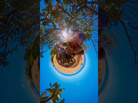 2 girls 1 beach 🫧🌊🌞🌈 #insta360 #underwater #beach