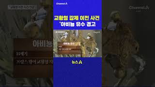 교황청 강제 이전 사건 아비뇽 유수 경고 채널A #shorts #DLAB #ashorts