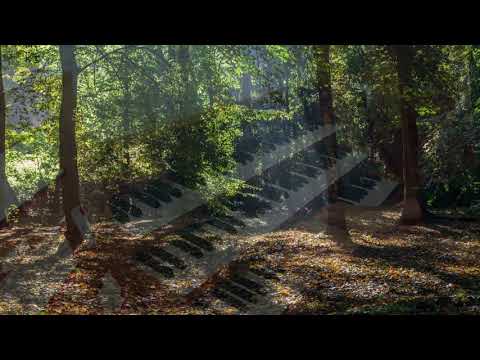 Engelbert Humperdinck - Abendsegen from the Opera Hansel and Gretel for Corno da Caccia and Organ