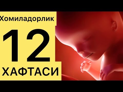 УГИЛ ЙОКИ КИЗЛИГИ АНИКЛАНАДИ