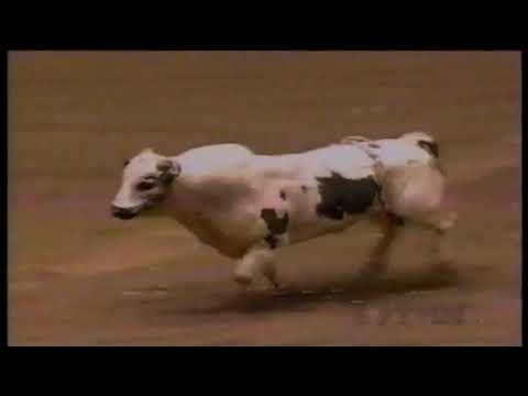PBR 1997: Scott Doyle wrecks on Panhandle Slim
