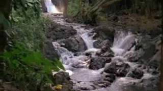 The Ballad of Jimmy and Annie