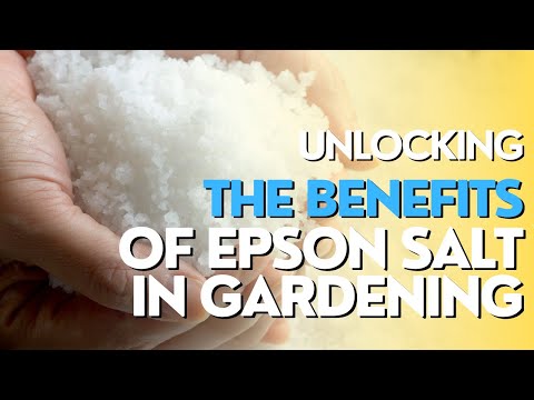UNLOCKING THE BENEFITS: Epsom Salt in the Garden - Exploring its Surprising Uses and Advantages