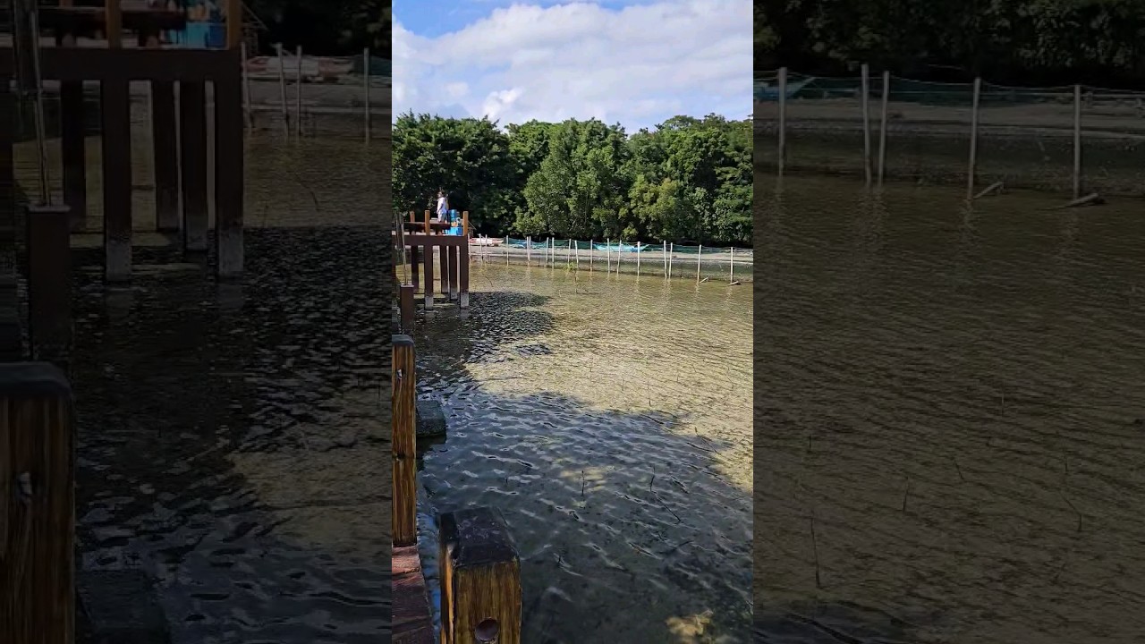 YouTube Short thumbnail