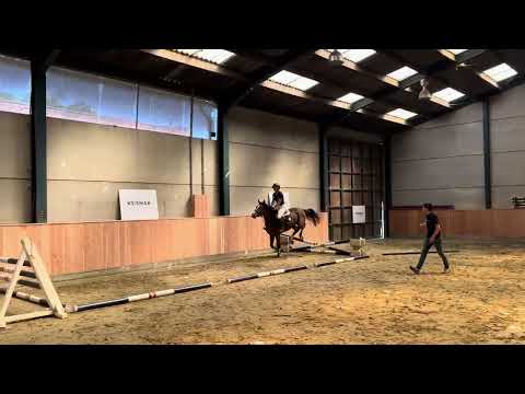 Video under the saddle